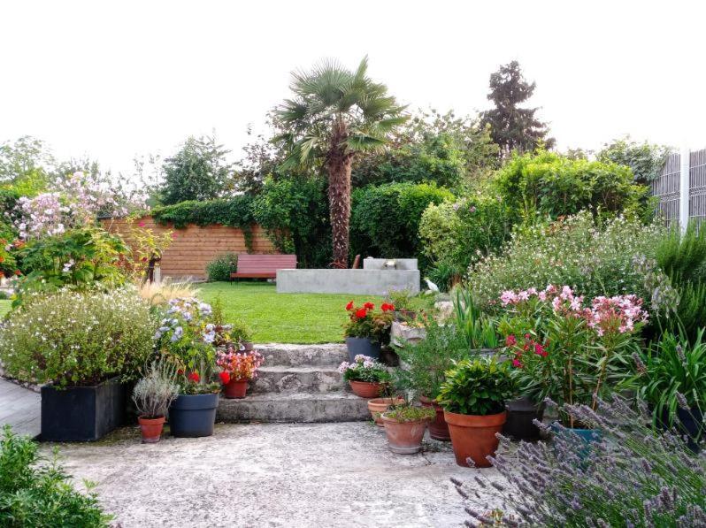 Le Temps Retrouve Bed and Breakfast Concevreux Exteriör bild